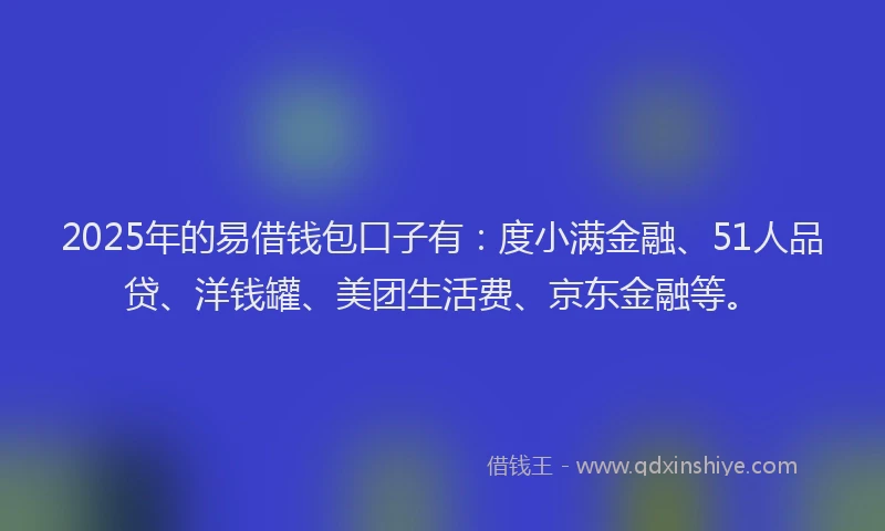 2025年的易借钱包口子有：度小满金融、51人品贷、洋钱罐、美团生活费、京东金融等。