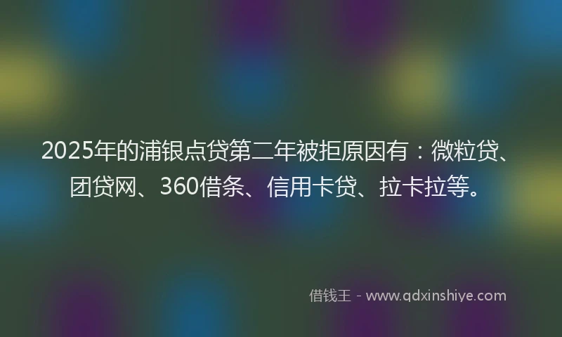 2025年的浦银点贷第二年被拒原因有：微粒贷、团贷网、360借条、信用卡贷、拉卡拉等。