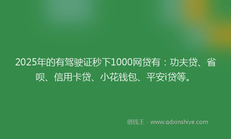 2025年的有驾驶证秒下1000网贷有：功夫贷、省呗、信用卡贷、小花钱包、平安i贷等。