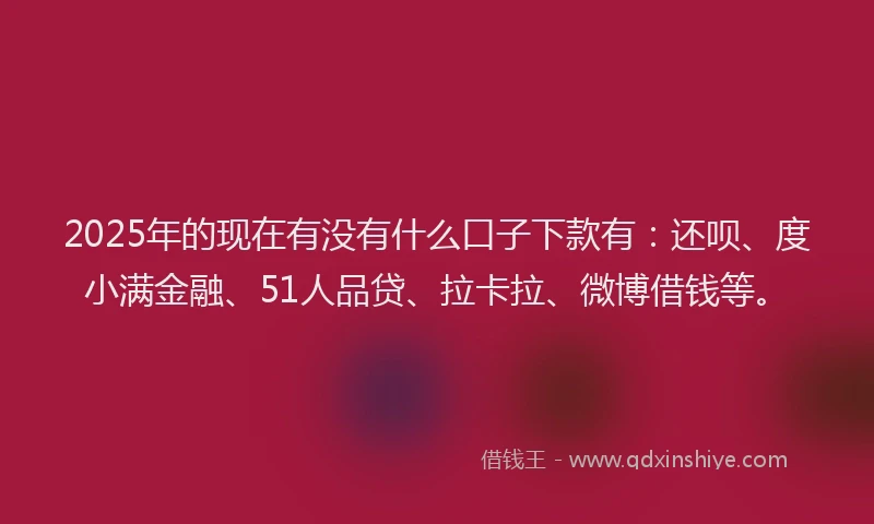2025年的现在有没有什么口子下款有：还呗、度小满金融、51人品贷、拉卡拉、微博借钱等。