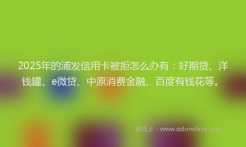 2025年的浦发信用卡被拒怎么办有：好期贷、洋钱罐、e微贷、中原消费金融、百度有钱花等。