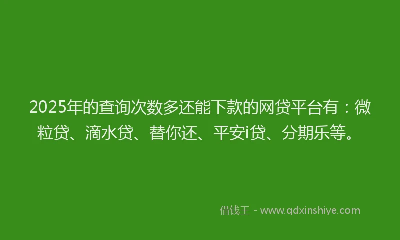 2025年的查询次数多还能下款的网贷平台有：微粒贷、滴水贷、替你还、平安i贷、分期乐等。