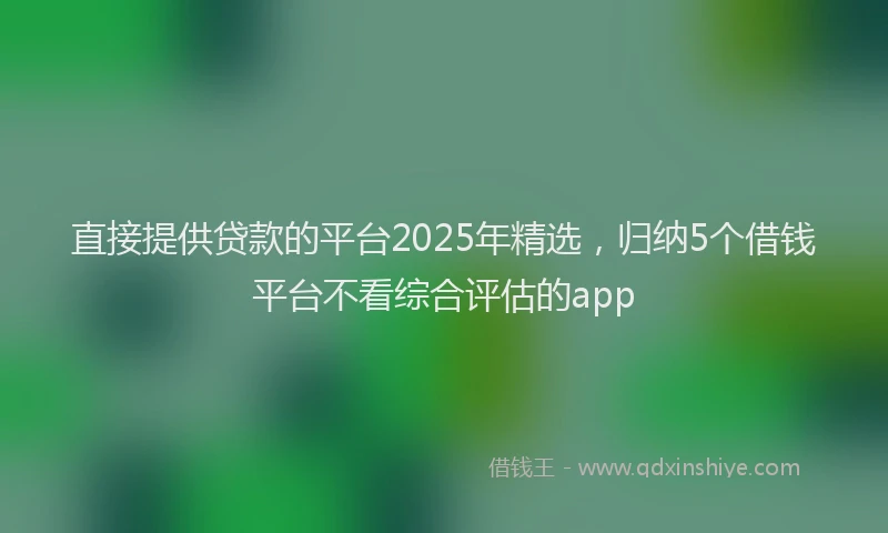 直接提供贷款的平台2025年精选，归纳5个借钱平台不看综合评估的app