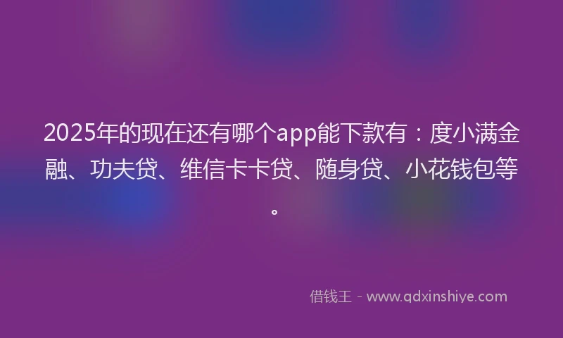 2025年的现在还有哪个app能下款有：度小满金融、功夫贷、维信卡卡贷、随身贷、小花钱包等。
