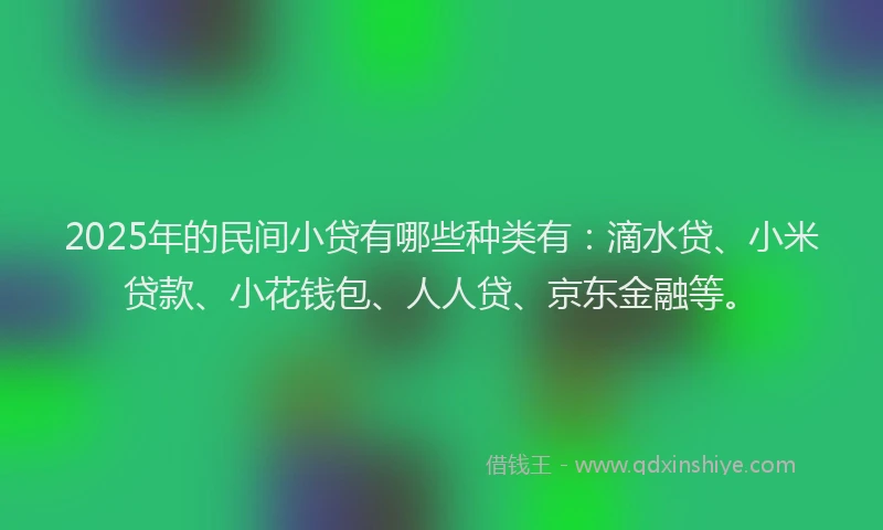 2025年的民间小贷有哪些种类有：滴水贷、小米贷款、小花钱包、人人贷、京东金融等。