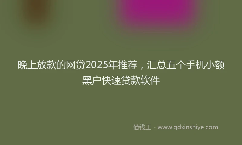 晚上放款的网贷2025年推荐，汇总五个手机小额黑户快速贷款软件