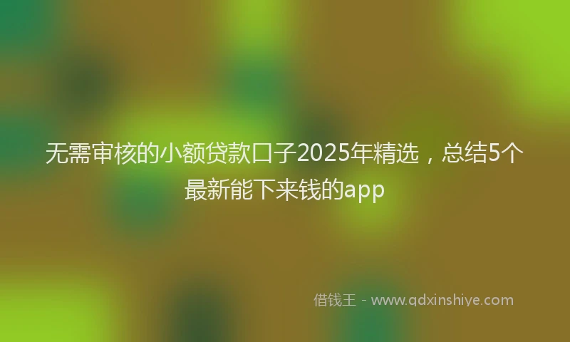 无需审核的小额贷款口子2025年精选，总结5个最新能下来钱的app