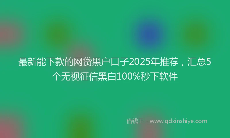 最新能下款的网贷黑户口子2025年推荐，汇总5个无视征信黑白100%秒下软件