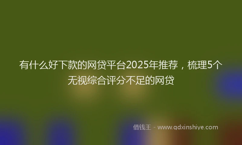 有什么好下款的网贷平台2025年推荐，梳理5个无视综合评分不足的网贷