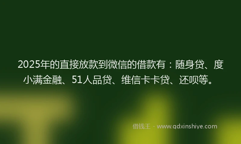 2025年的直接放款到微信的借款有：随身贷、度小满金融、51人品贷、维信卡卡贷、还呗等。