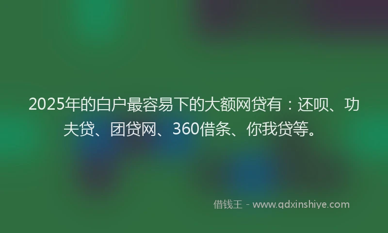 2025年的白户最容易下的大额网贷有：还呗、功夫贷、团贷网、360借条、你我贷等。