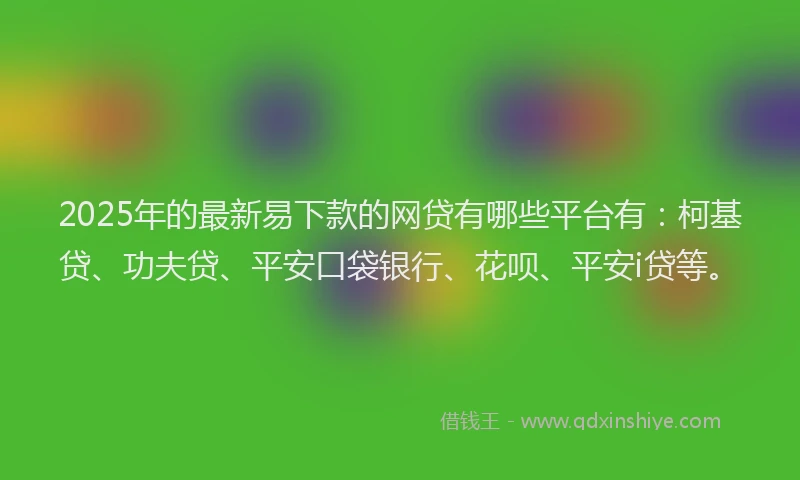 2025年的最新易下款的网贷有哪些平台有：柯基贷、功夫贷、平安口袋银行、花呗、平安i贷等。