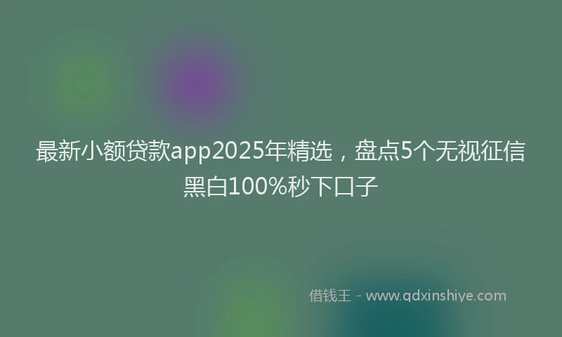 最新小额贷款app2025年精选，盘点5个无视征信黑白100%秒下口子