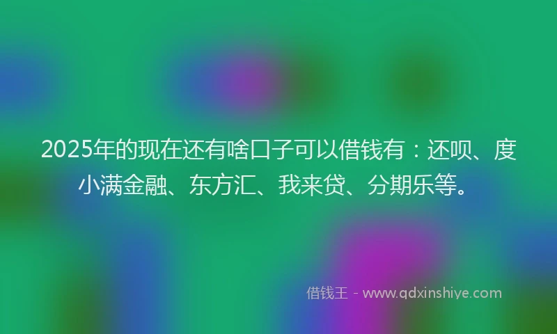 2025年的现在还有啥口子可以借钱有：还呗、度小满金融、东方汇、我来贷、分期乐等。