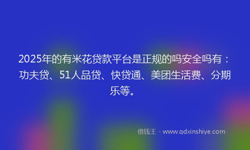 2025年的有米花贷款平台是正规的吗安全吗有：功夫贷、51人品贷、快贷通、美团生活费、分期乐等。