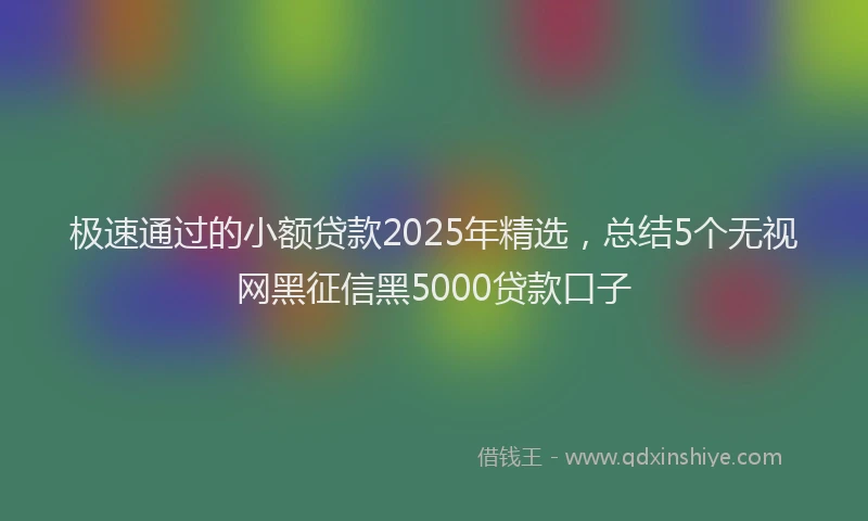 极速通过的小额贷款2025年精选，总结5个无视网黑征信黑5000贷款口子