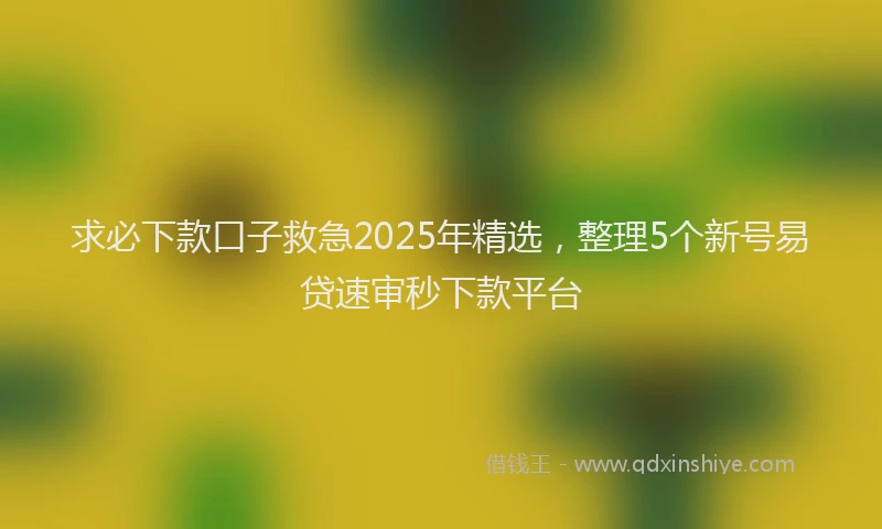 求必下款口子救急2025年精选，整理5个新号易贷速审秒下款平台