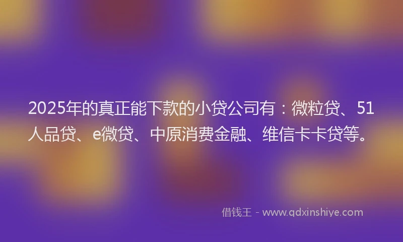 2025年的真正能下款的小贷公司有：微粒贷、51人品贷、e微贷、中原消费金融、维信卡卡贷等。