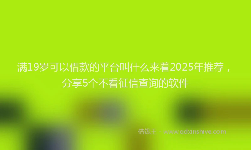 满19岁可以借款的平台叫什么来着2025年推荐，分享5个不看征信查询的软件