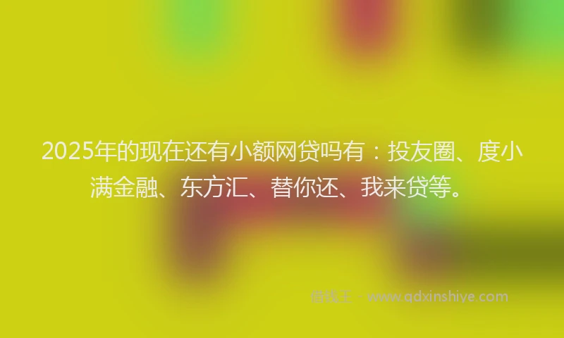 2025年的现在还有小额网贷吗有：投友圈、度小满金融、东方汇、替你还、我来贷等。