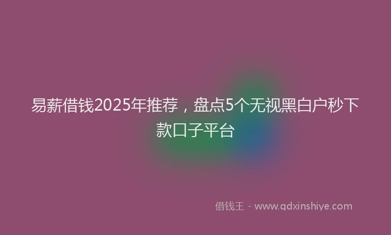 易薪借钱2025年推荐，盘点5个无视黑白户秒下款口子平台