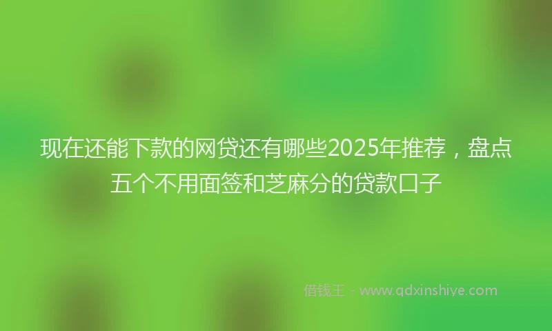 现在还能下款的网贷还有哪些2025年推荐，盘点五个不用面签和芝麻分的贷款口子