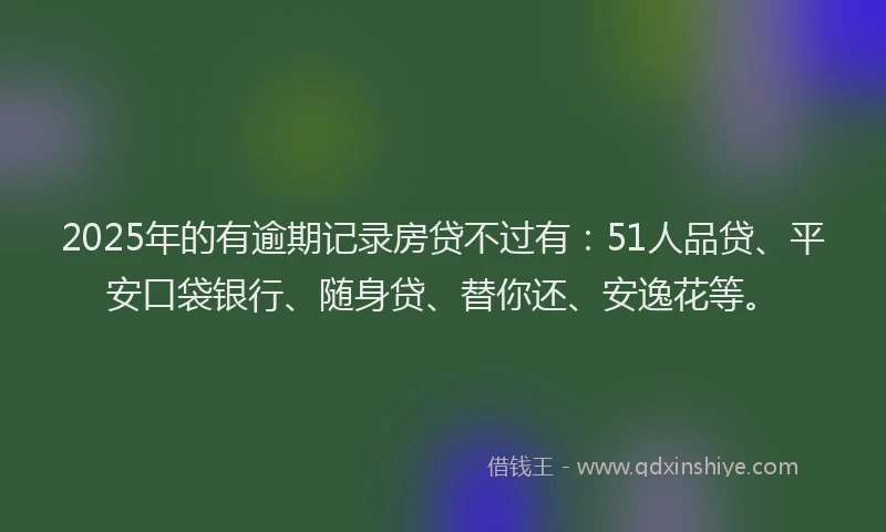 2025年的有逾期记录房贷不过有：51人品贷、平安口袋银行、随身贷、替你还、安逸花等。
