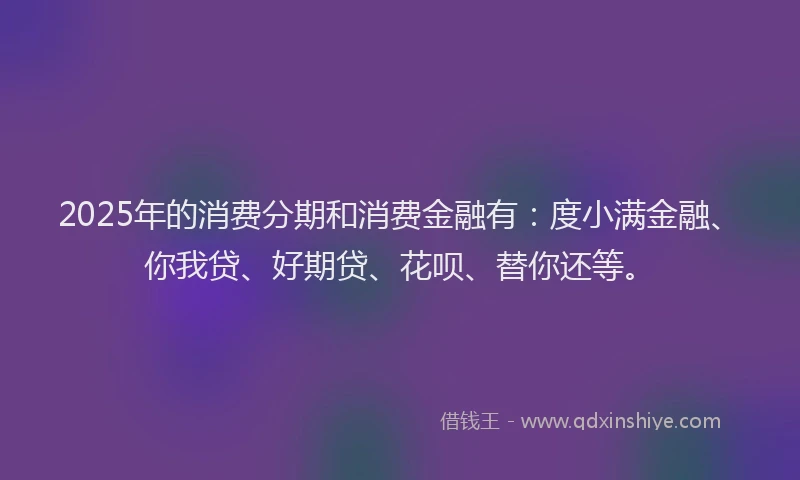 2025年的消费分期和消费金融有：度小满金融、你我贷、好期贷、花呗、替你还等。