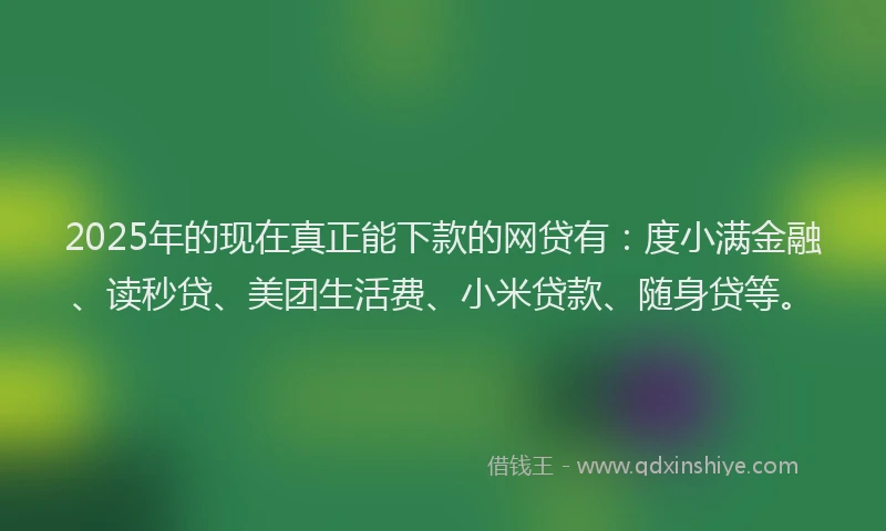 2025年的现在真正能下款的网贷有：度小满金融、读秒贷、美团生活费、小米贷款、随身贷等。