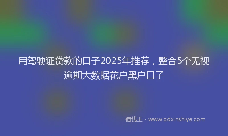 用驾驶证贷款的口子2025年推荐，整合5个无视逾期大数据花户黑户口子