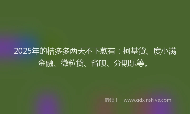 2025年的桔多多两天不下款有：柯基贷、度小满金融、微粒贷、省呗、分期乐等。
