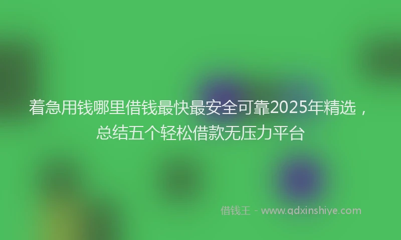 着急用钱哪里借钱最快最安全可靠2025年精选，总结五个轻松借款无压力平台