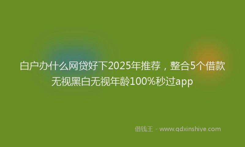 白户办什么网贷好下2025年推荐，整合5个借款无视黑白无视年龄100%秒过app