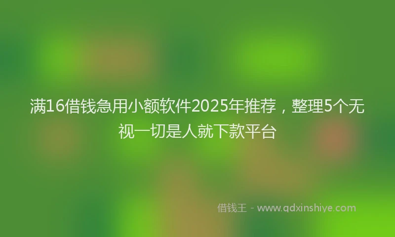 满16借钱急用小额软件2025年推荐，整理5个无视一切是人就下款平台