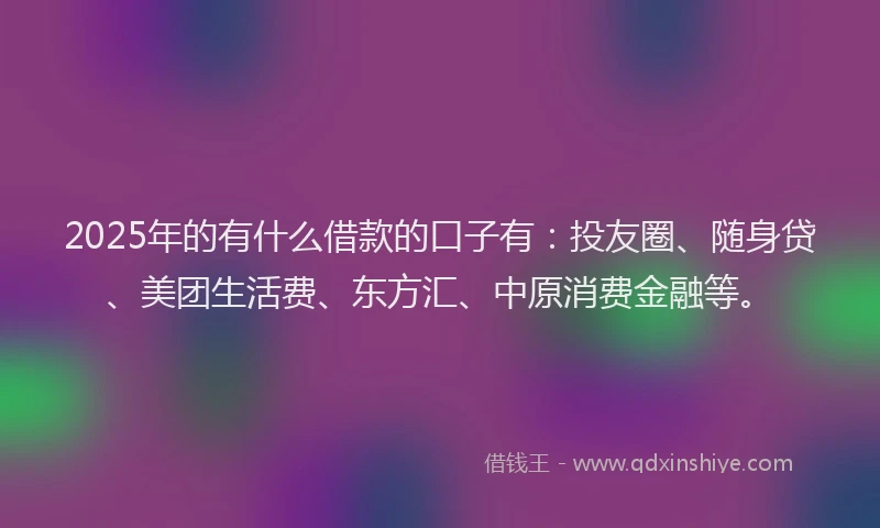 2025年的有什么借款的口子有：投友圈、随身贷、美团生活费、东方汇、中原消费金融等。