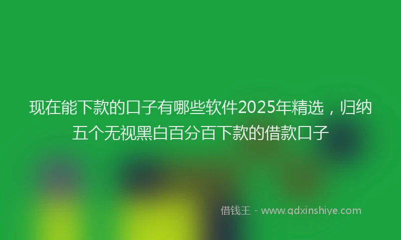 现在能下款的口子有哪些软件2025年精选，归纳五个无视黑白百分百下款的借款口子