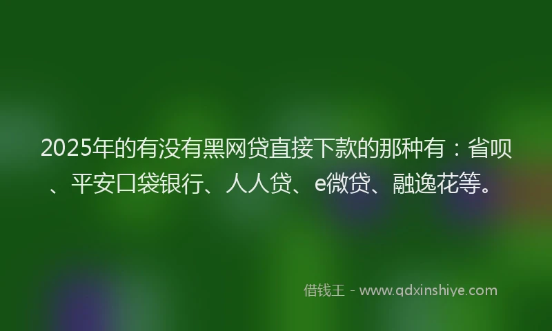 2025年的有没有黑网贷直接下款的那种有：省呗、平安口袋银行、人人贷、e微贷、融逸花等。