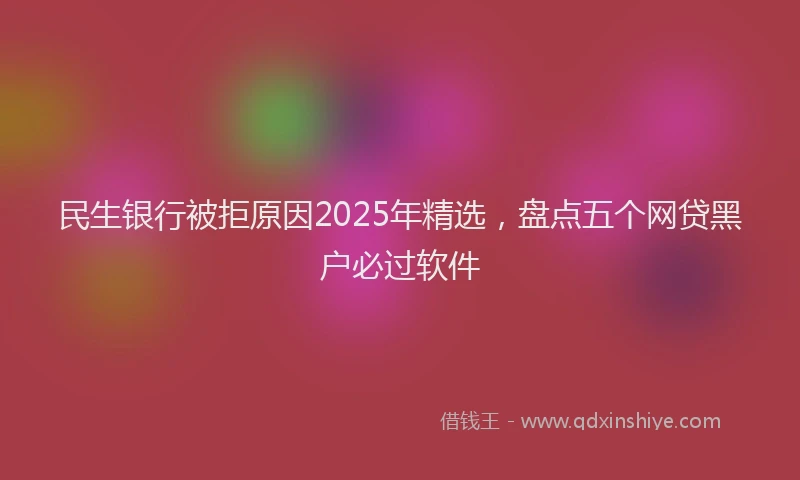 民生银行被拒原因2025年精选，盘点五个网贷黑户必过软件