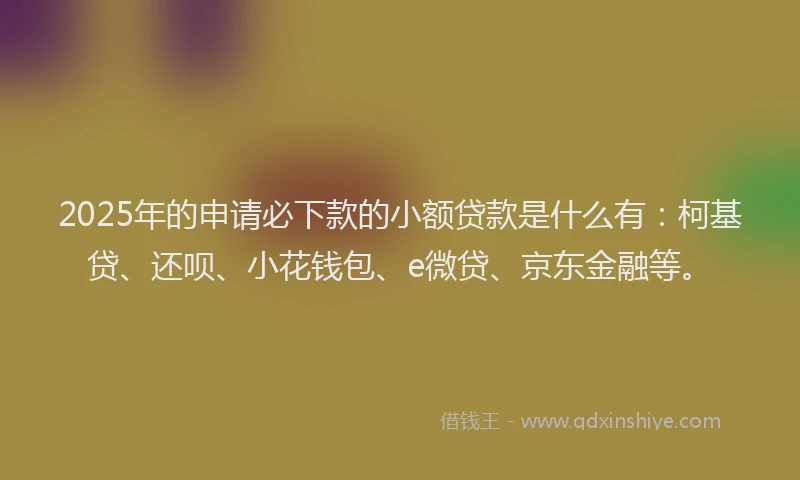 2025年的申请必下款的小额贷款是什么有：柯基贷、还呗、小花钱包、e微贷、京东金融等。