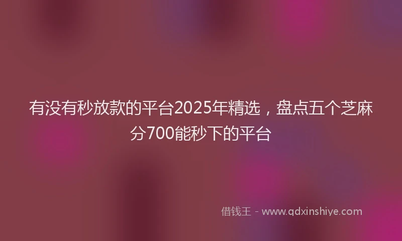 有没有秒放款的平台2025年精选，盘点五个芝麻分700能秒下的平台