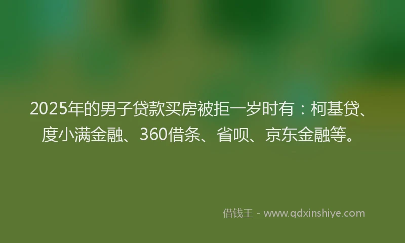 2025年的男子贷款买房被拒一岁时有：柯基贷、度小满金融、360借条、省呗、京东金融等。