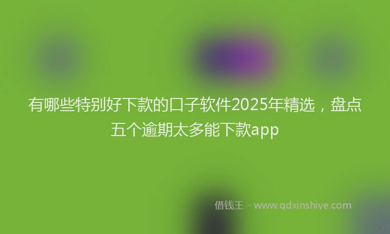 有哪些特别好下款的口子软件2025年精选，盘点五个逾期太多能下款app