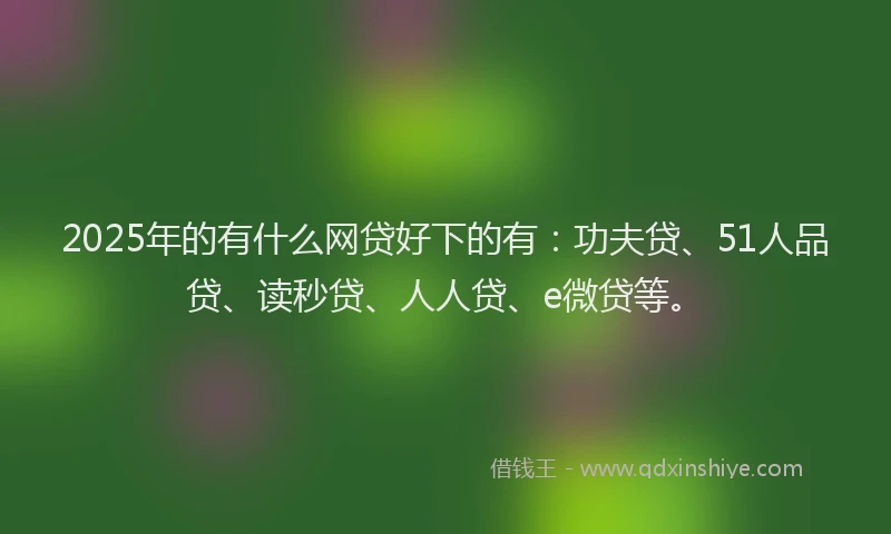 2025年的有什么网贷好下的有：功夫贷、51人品贷、读秒贷、人人贷、e微贷等。