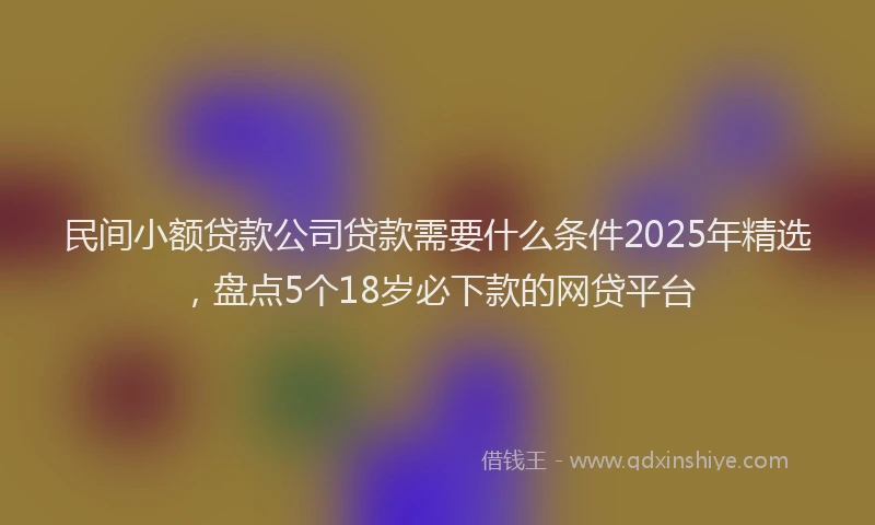 民间小额贷款公司贷款需要什么条件2025年精选，盘点5个18岁必下款的网贷平台