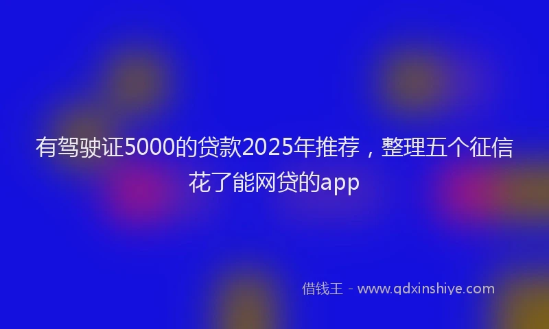 有驾驶证5000的贷款2025年推荐，整理五个征信花了能网贷的app