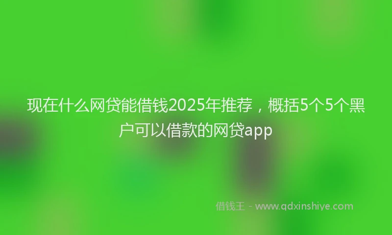 现在什么网贷能借钱2025年推荐，概括5个5个黑户可以借款的网贷app