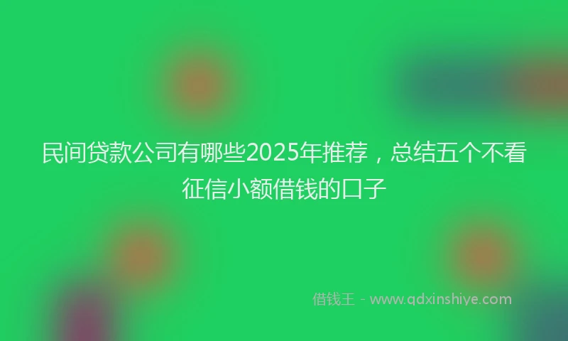 民间贷款公司有哪些2025年推荐，总结五个不看征信小额借钱的口子