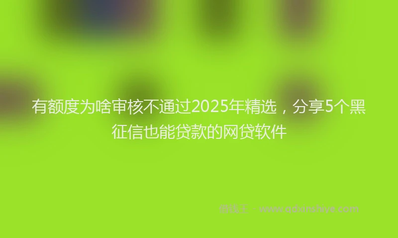 有额度为啥审核不通过2025年精选，分享5个黑征信也能贷款的网贷软件