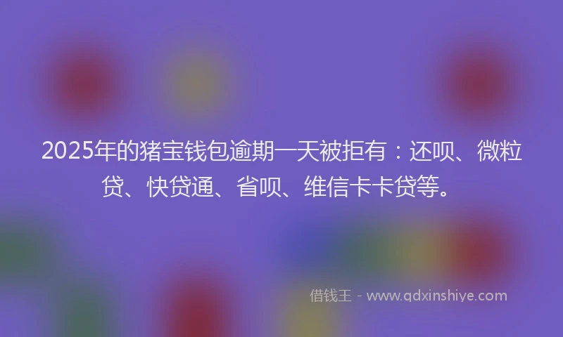2025年的猪宝钱包逾期一天被拒有：还呗、微粒贷、快贷通、省呗、维信卡卡贷等。