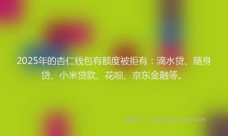2025年的杏仁钱包有额度被拒有：滴水贷、随身贷、小米贷款、花呗、京东金融等。